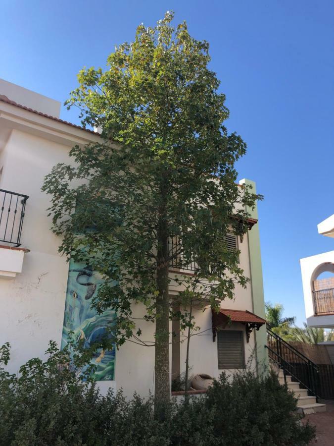 Amdar Village Cozy 2br Апартаменты